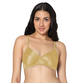 Icpd-04 Non-Padded Full Coverage Lightly Padded Bra (Pack of 1) - Incare