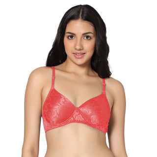 Icpd-04 Non-Padded Full Coverage Lightly Padded  Bra (Pack of 1) - Incare